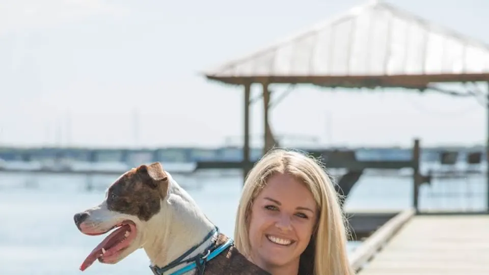 Animal Medical Center West - Veterinarian in Beaufort, SC