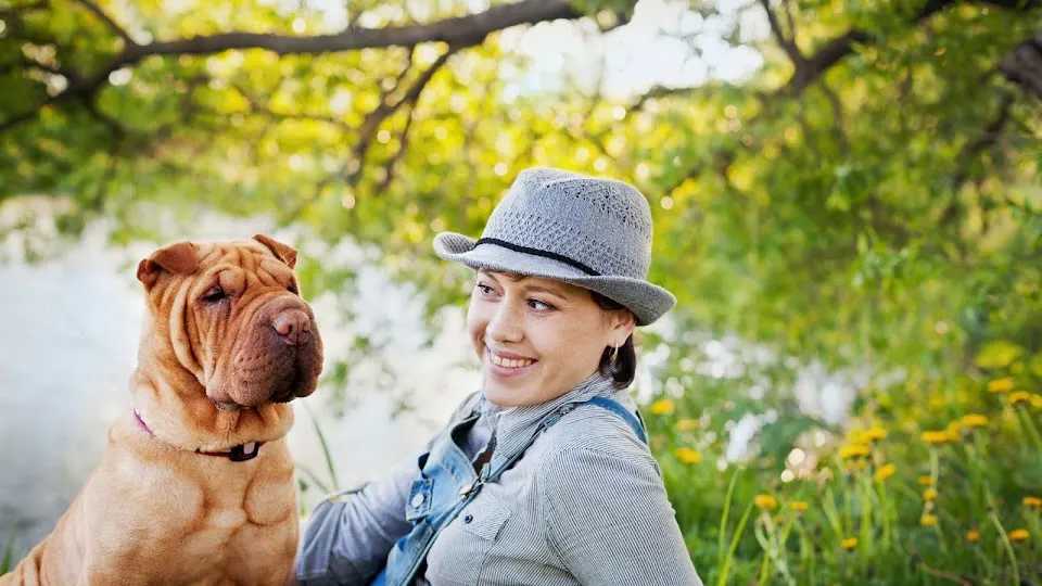 Appalachian New River Veterinary Associates - Veterinarian in Boone, NC