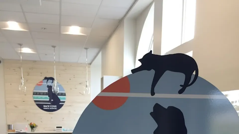 Back Cove Animal Hospital - Veterinarian in Portland, ME