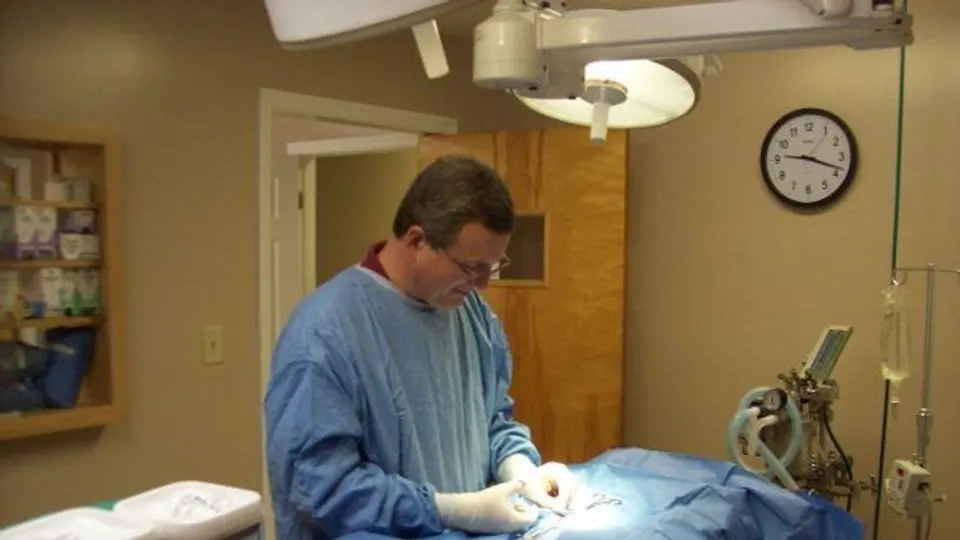 Baytree Animal Hospital - Veterinarian in Valdosta, GA