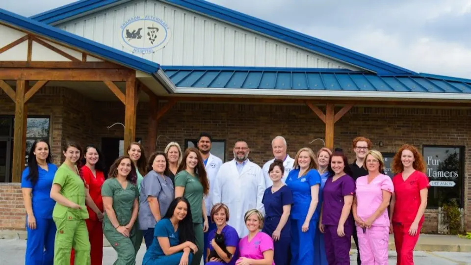Branson Veterinary Hospital - Veterinarian in Branson, MO