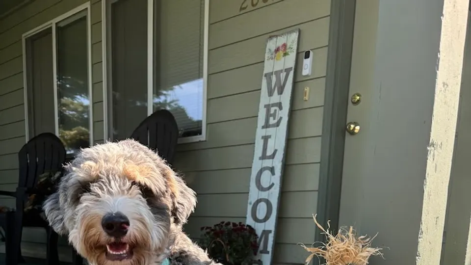 Brookswood Animal Clinic - Veterinarian in Bend, OR