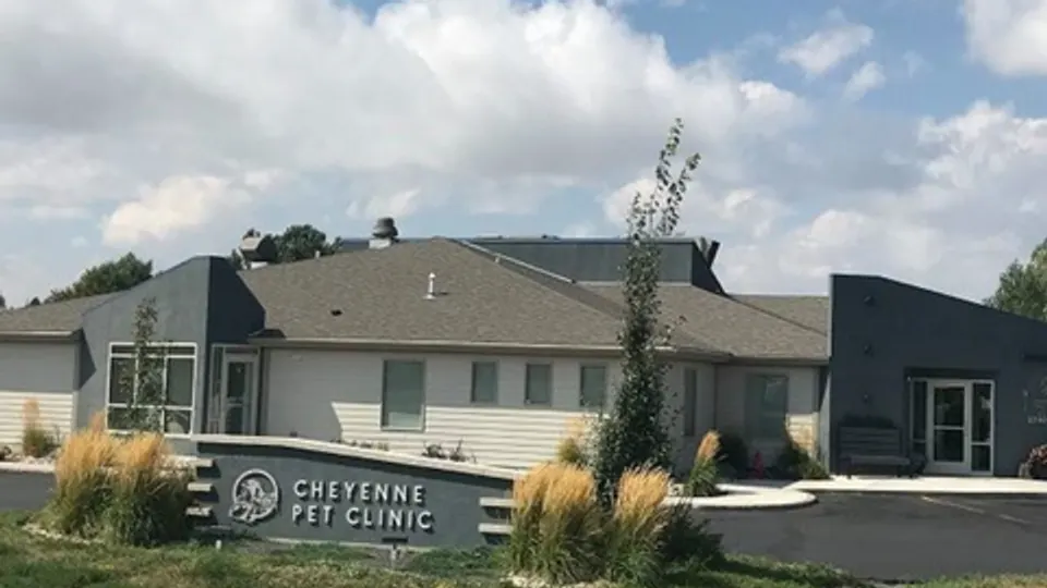Cheyenne Pet Clinic - Veterinarian in Cheyenne, WY