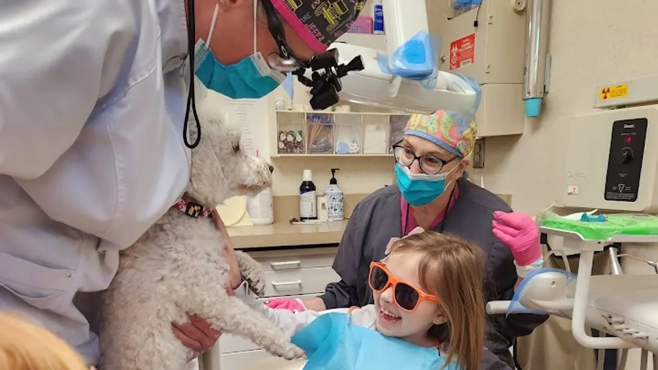 Confident Smiles Dentistry Llc - Dentist in Annapolis, MD
