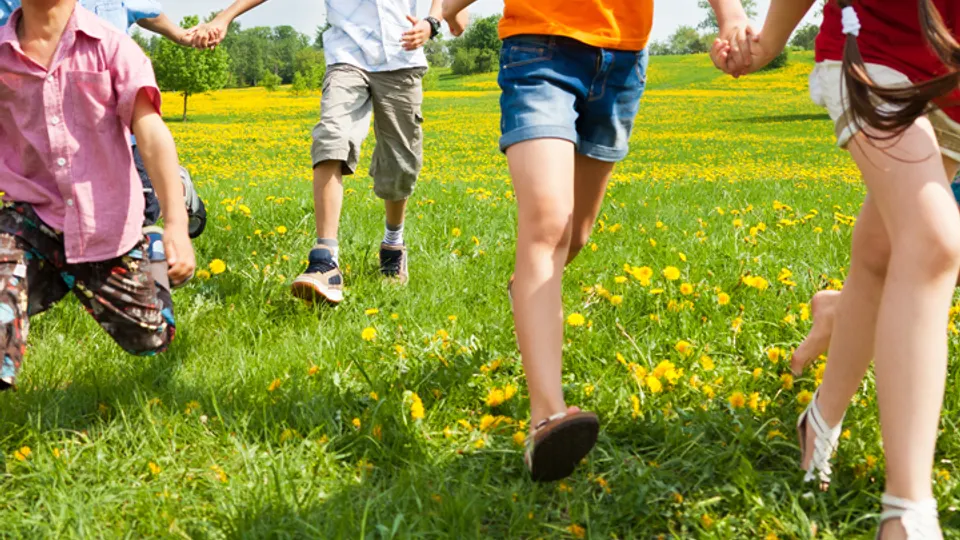 Delta Dental of South Carolina - Health insurance agency in Columbia, SC