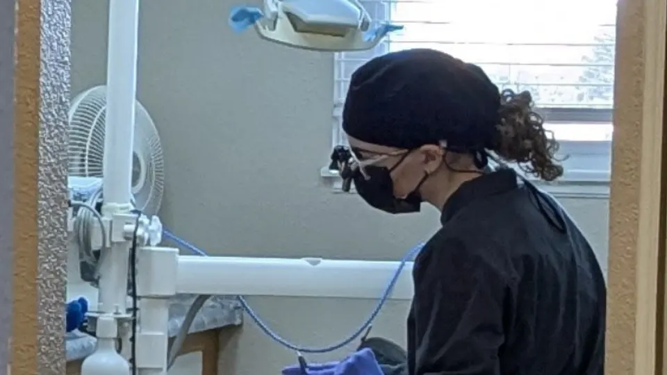 Denteffex - Dentist in Cheyenne, WY