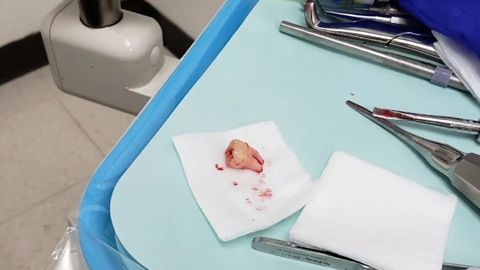 Dr. Gettas Family Dental and Orthodontics - Dentist in Los Angeles, CA