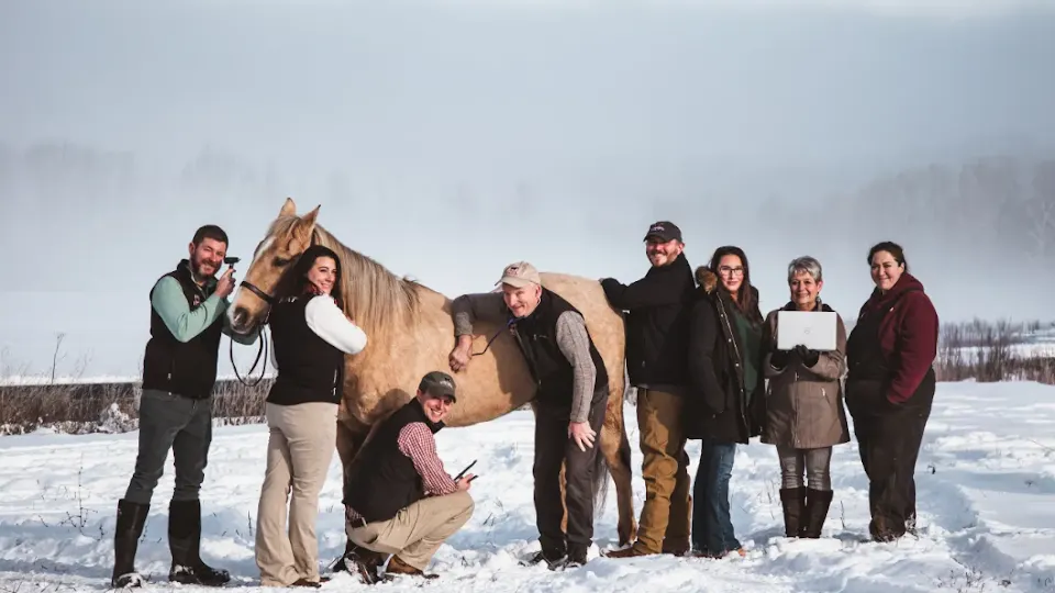 Finger Lakes Equine Practice - Veterinarian in Ithaca, NY