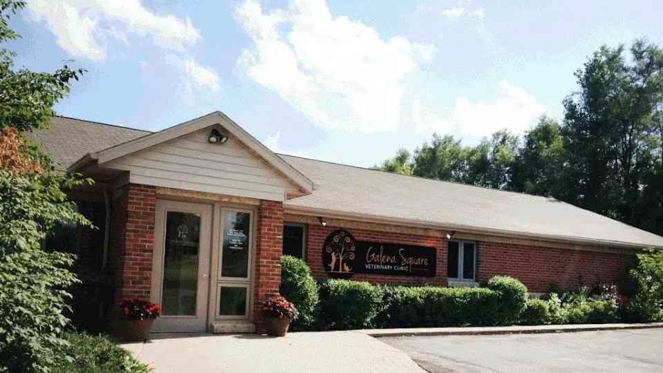 Galena Square Veterinary Clinic - Veterinarian in Galena, IL