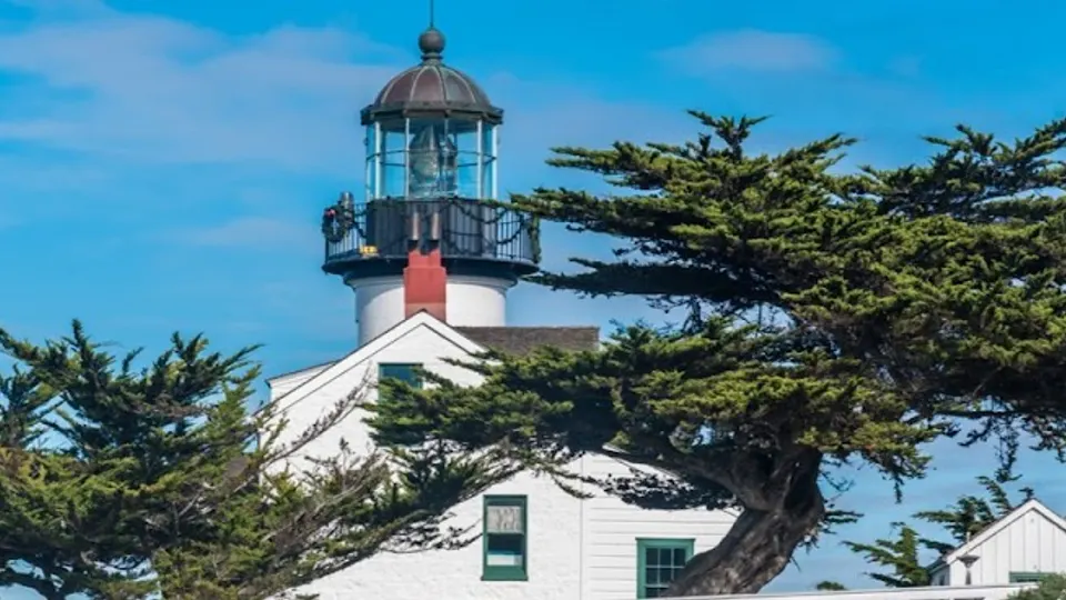 Lighthouse Family Dentistry: Patricia Van Kooten, DMD - Cosmetic dentist in Monterey, CA