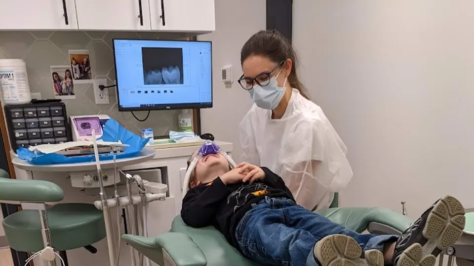 Little Bee's Pediatric Dentistry - Pediatric dentist in Hershey, PA
