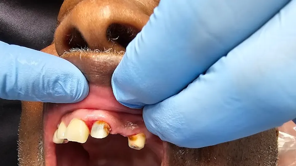 Livernois Dental Care - Dental clinic in Detroit, MI