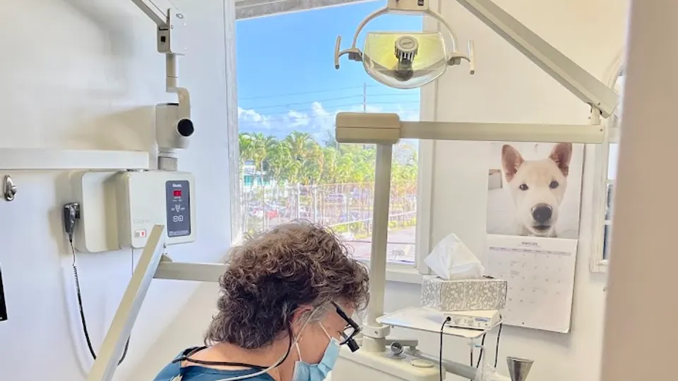 Mauna Family Dental - Dental clinic in Hilo, HI