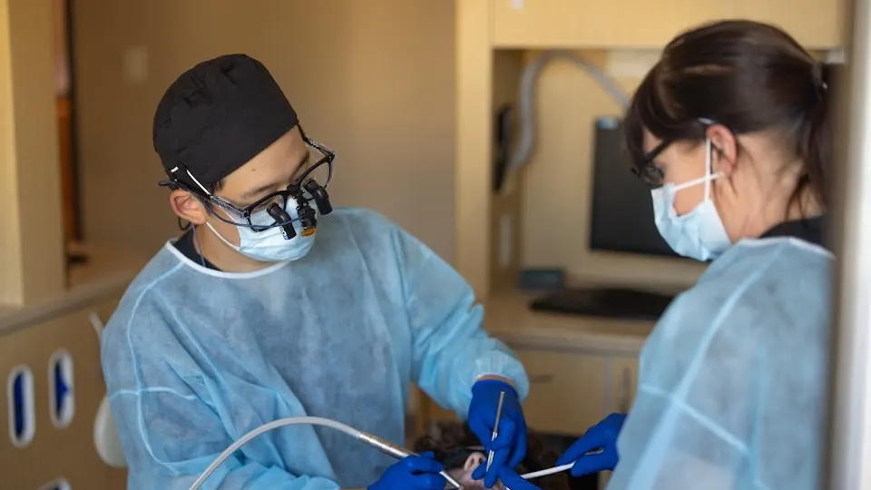 NE Portland Dental - Dentist in Portland, OR