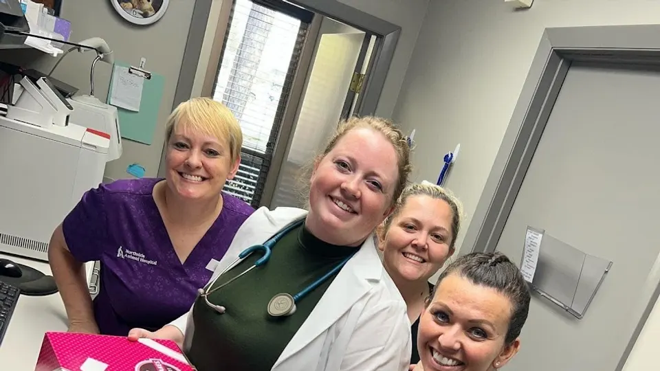 Northside Animal Hospital & Urgent Care - Veterinarian in Valdosta, GA