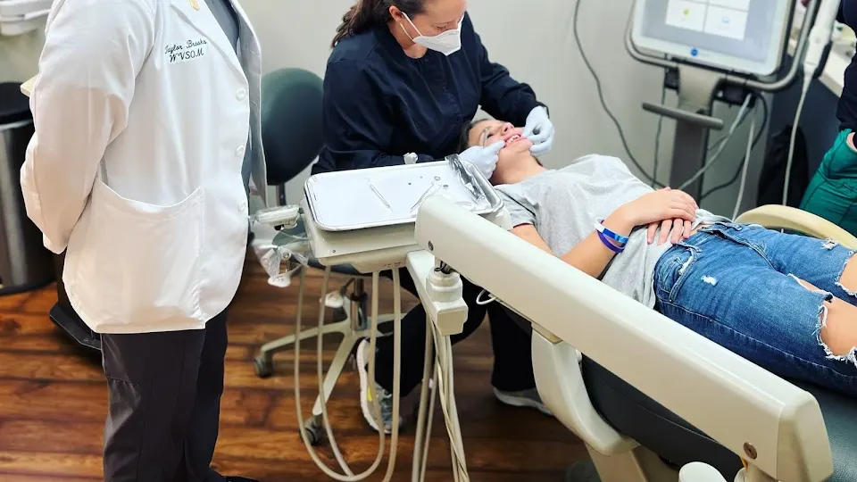 Orthodontist - Jennifer Hamilton DDS 1 - Dentist in Lewisburg, WV