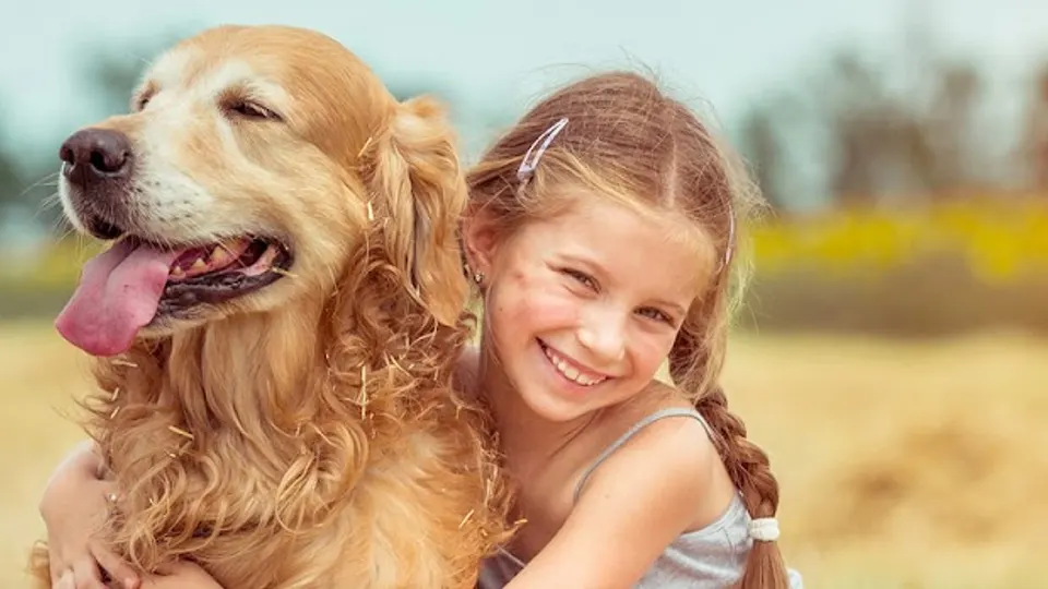 Quail Ridge Animal Hospital - Veterinarian in Carson City, NV