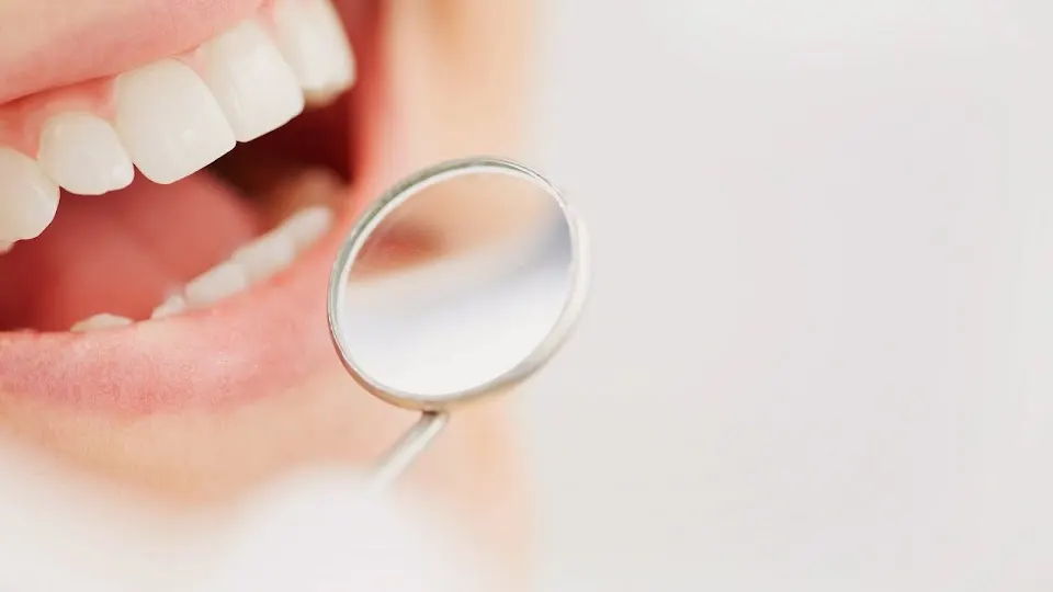 Root Canal Specialists: Lento Christopher DMD - Endodontist in Norwich, CT