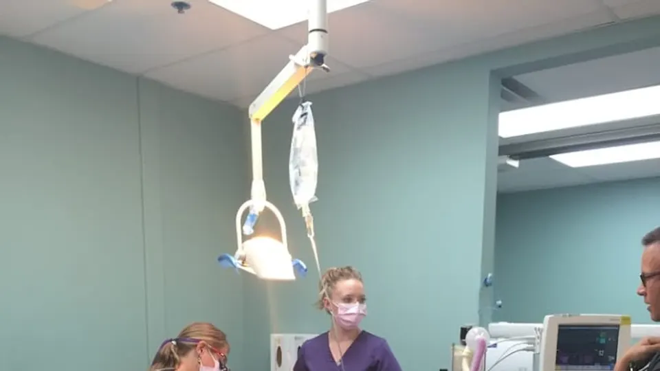 Salt Lake Dental - Dentist in Salt Lake City, UT