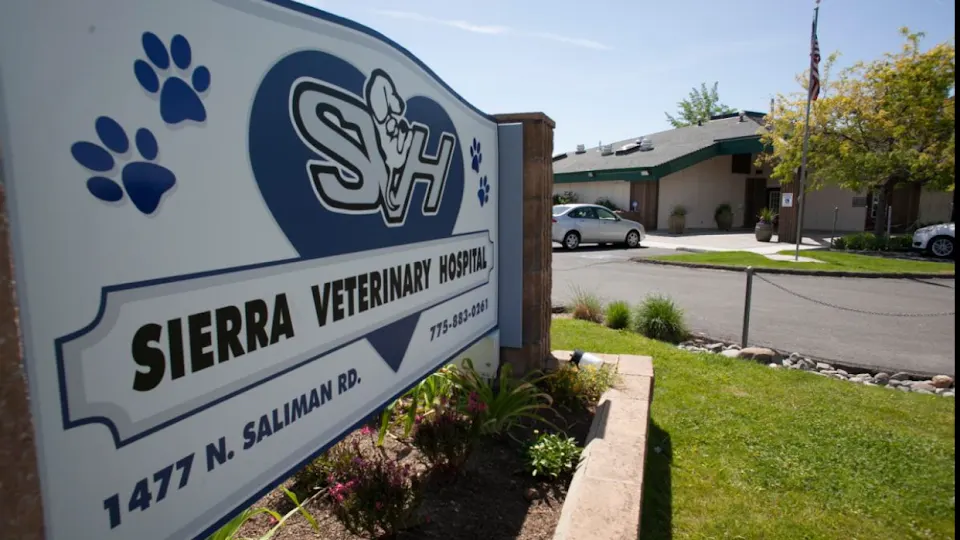 Sierra Veterinary Hospital - Animal hospital in Carson City, NV