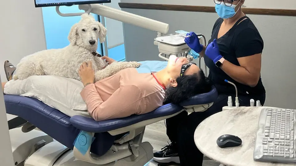 South Shore Dental - Dentist in Denver, CO