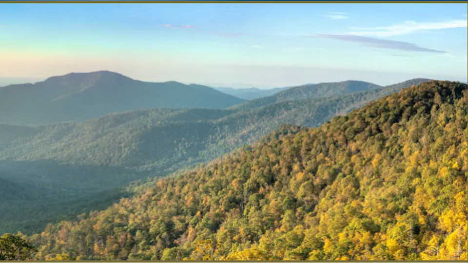 Starns and Wood Comprehensive Dentistry - Dentist in Charlottesville, VA