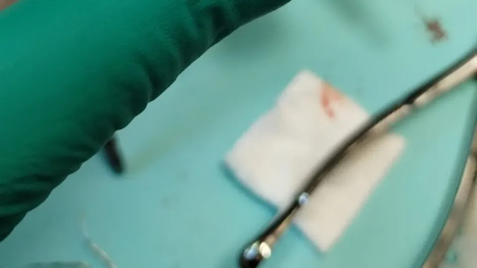 The Dentist of Summerlin - Dentist in Las Vegas, NV
