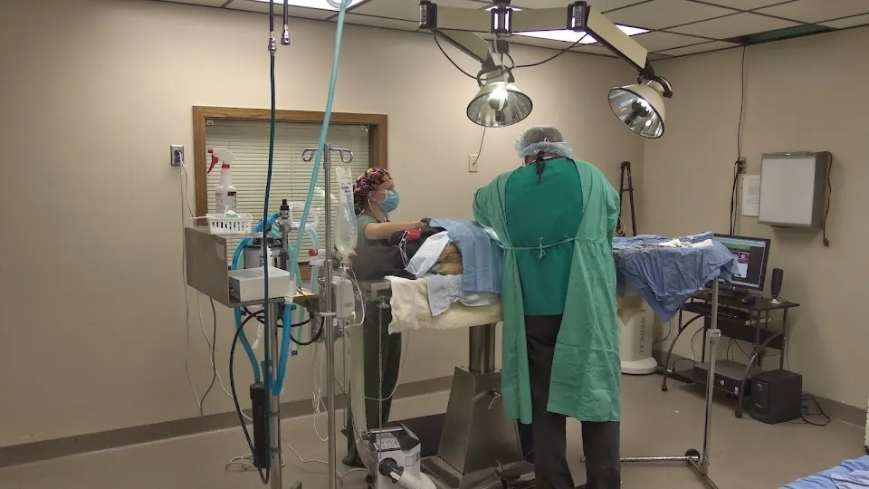 Valley Veterinary Hospital - Veterinarian in Fargo, ND