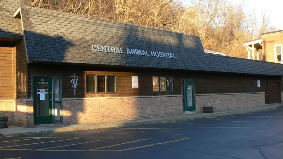 Vanderloo & White Animal Hospital Formerly Central Animal Hospital - Animal hospital in Dubuque, IA