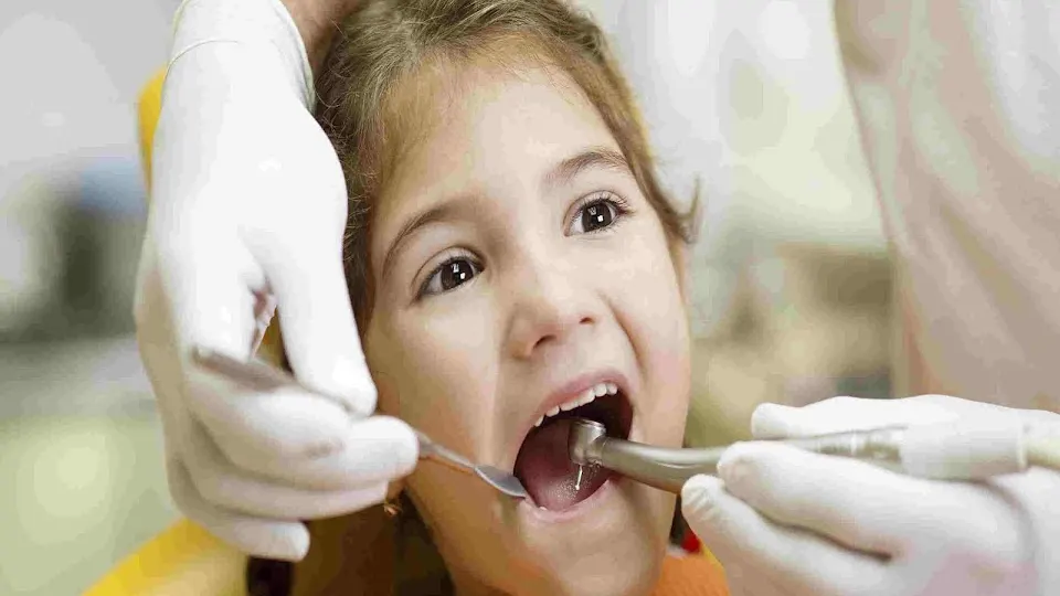 Vermont Dental Care - Dentist in Burlington, VT