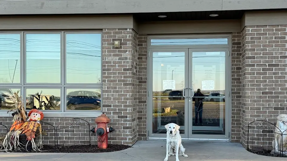 Veterinary Associates - Galena - Veterinarian in Galena, IL