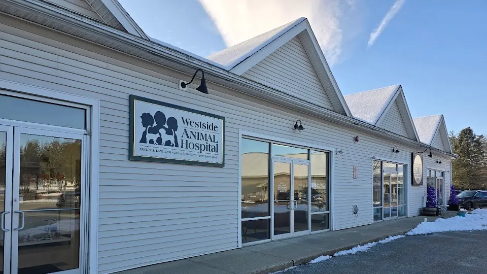 Westside Animal Hospital - Veterinarian in Keene, NH
